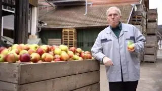 innocent apple ad 2015