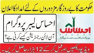 How To Apply For Ehsaas Labour Program I Ehsaas Mazdoor Parogram Ahmed Online
