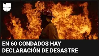 Texas sufre el azote de cuatro poderosos incendios forestales