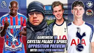 Crystal Palace V Spurs - Opposition Preview with Eagle-Eyed Football