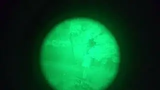 AN-PVS 2 video