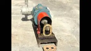 Sherwood bronze positive displacement gear pump