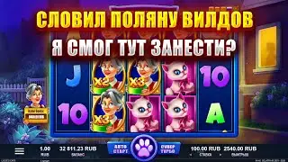 СЛОВИЛ ПОЛЯНУ ВИЛДОВ В СЛОТЕ - LUCIE CATS! Я СМОГ ТУТ ЗАНЕСТИ?
