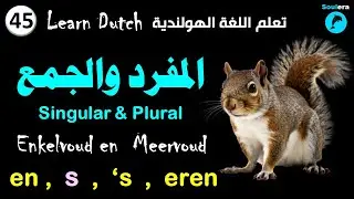 د64- خطوة 45: المفرد والجمع في اللغة الهولندية - الجزء الثاني 🐬