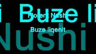 Florent Nushi - Buze liqenit