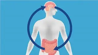 stomach pain after eating oily food