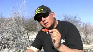 Kurt Dove on Ima Lures