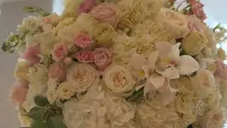 DwA Pro Video Bal Harbour Wedding