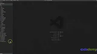 Visual Studio Setup - Zoom In, Zoom Out with Keyboard and/or Mouse