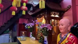Jade Emperor pagoda was visited by U.S President Obama| Tet holiday 2020 | HCMC | Vietnam 🇻🇳 #43
