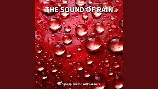 Mindfulness Audio