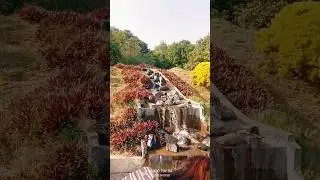 beautiful place।। beautiful scenery#shorts video#natural video#natural reels#scenery video