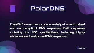 PolarDNS: Open-Source DNS Server for Security Testing #cybersecurity #technology #ai #Cyprox