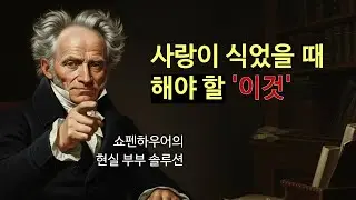 결혼이 지옥같이 느껴질 때 꼭 봐야 할 영상: 쇼펜하우어의 '고슴도치 딜레마'와 현실 부부