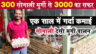 Desi Sonali Murgi Palan करने वाले इस युवा का DESI MURGI BUSINESS एक साल में बुलंदियों को छू रहा है