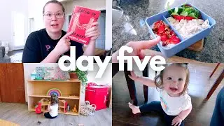 BACKLIST READATHON DAY 5 | another library visit, toy rotation, enjoying my book, cooking + more