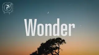 Shawn Mendes - Wonder (Lyrics)