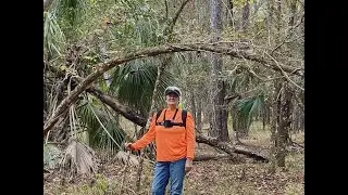 Very Pretty Area Showing Some Possible Signs! #bigfoot #mid #centralflorida #hiking #nationalforest