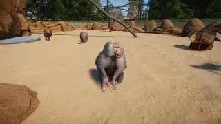 Planet Zoo 3 of my zoos👍