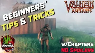 Valheim Beginner Tips: First Days w/Chapters & NO SPOILERS