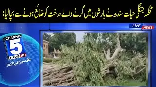 Sindh Wildlife Department saves tree from being lost | 5 News HD