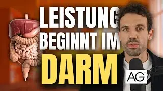 Leaky Gut, L&ouml;cher im Darm &ndash; k&ouml;nnen Supplements wie AG1 helfen & was du als Athlet beachten muss
