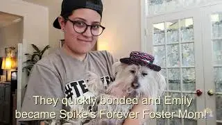 Spike Tribute