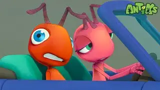 Crazy Car Ride! | Antiks | हिंदी कार्टून | Oddbods Hindi
