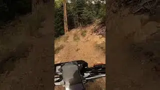 #shorts #tw200 #klx250 TW200 vs KLX250 | Colorado Trail Riding