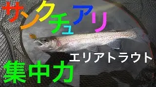 マスレンジャーで遊ぶ。サンクチュアリいなべのエリアトラウト。サクラマスが釣れてスタッフの方にびっくりされました[三重県いなべ市　トラウト釣り]