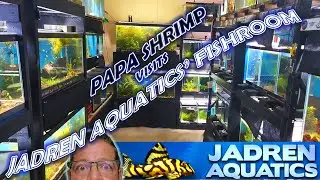 JADREN AQUATICS FISHROOM TOUR - (PAPA SHRIMP VISITS JADREN - 2021)
