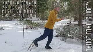 Working Toward an Ideal Body Position While XC Skiing (aka Go Hug a Tree)