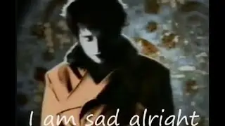 Rainbirds - Not exactly (lyrics on clip)