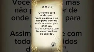 Nascidos do Espírito