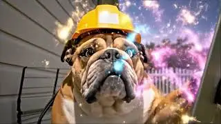 AI TV Ads: Get Your Commercial on Amazon Prime & Hulu for Under $50/Day! 🐶📺