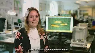 Hvor kommer vores græsfø fra?