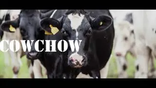 Cowchow