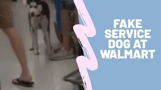 Fake Service Dog in Walmart (Reupload)
