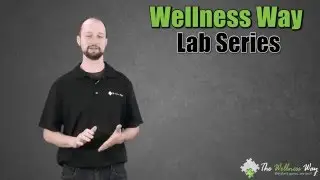 Reverse T3 | The Wellness Way Lab Series