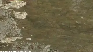 Water pollution lawsuit