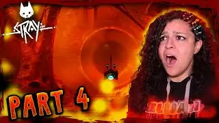 WTF ARE THOSE EYES?! *&bull; STRAY &ndash; PART 4 &bull;*