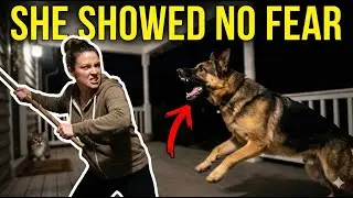 👵➡️🦸&zwj;♀️ Heroic Woman FEARLESSLY Fights Off Aggressive Dog to Save Her Cat! K9 Dog