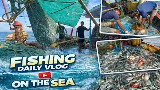 😮Unexpected Turtle Rescue🐢 Fourth to Sixth Day Ton’s Of MackerelFish Caught‼️🌊Epic Deep Sea Fishing 