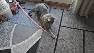 Playtime!