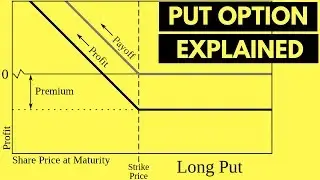 Profits from Buying a Put Option: Payoff Diagram 👍