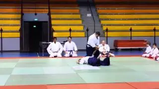 demonstration de ki shin tai jutsu