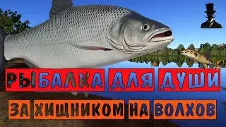 Рыбалка для души. За хищником на реку Волхов. Русская Рыбалка 4.