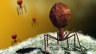 VIRUS BACTERIA DEATH SPRAY 🐄