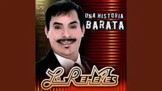Tu Juguete