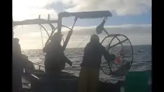 (2024) Commercial Crab Fishing, Rear View Angle of Vietnamese style Crabbing.